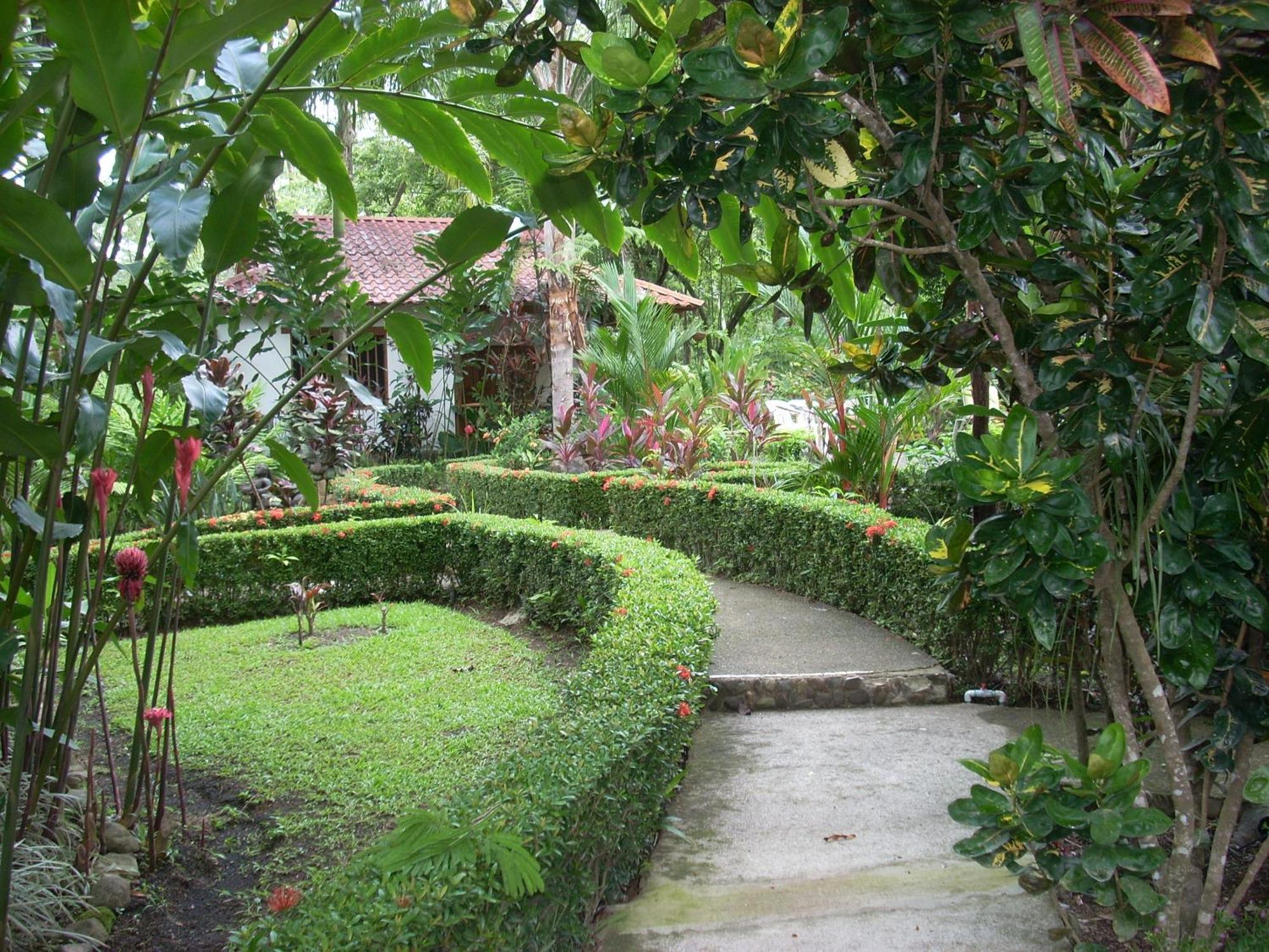 La Palapa Ecolodge Portalon Bagian luar foto