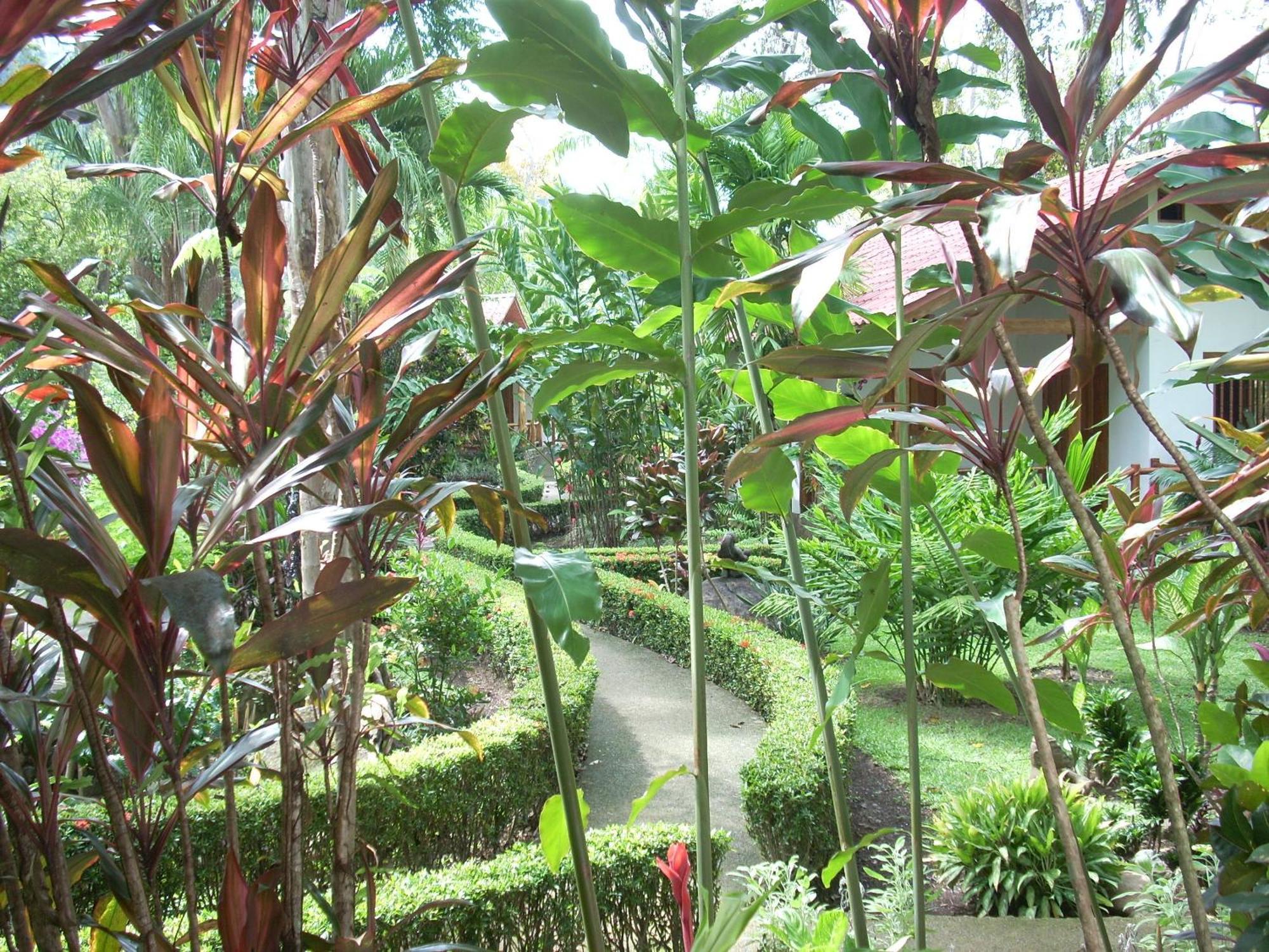 La Palapa Ecolodge Portalon Bagian luar foto