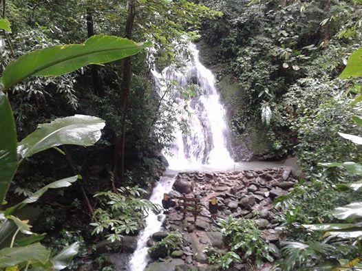La Palapa Ecolodge Portalon Bagian luar foto