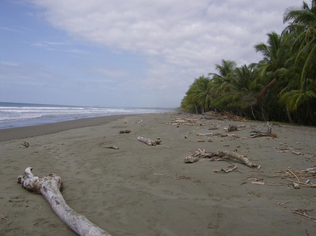 La Palapa Ecolodge Portalon Bagian luar foto