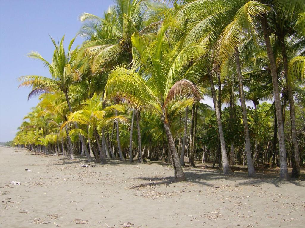 La Palapa Ecolodge Portalon Bagian luar foto
