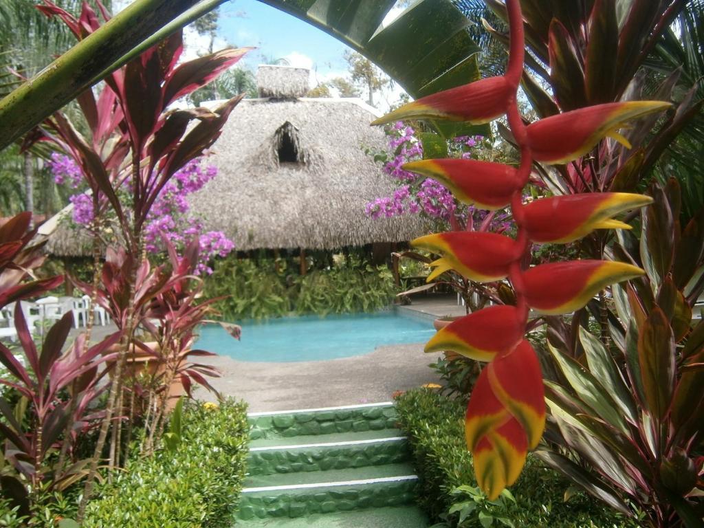 La Palapa Ecolodge Portalon Bagian luar foto