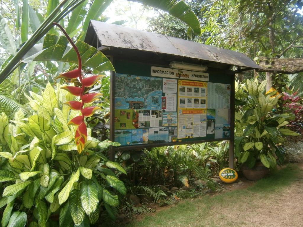 La Palapa Ecolodge Portalon Bagian luar foto