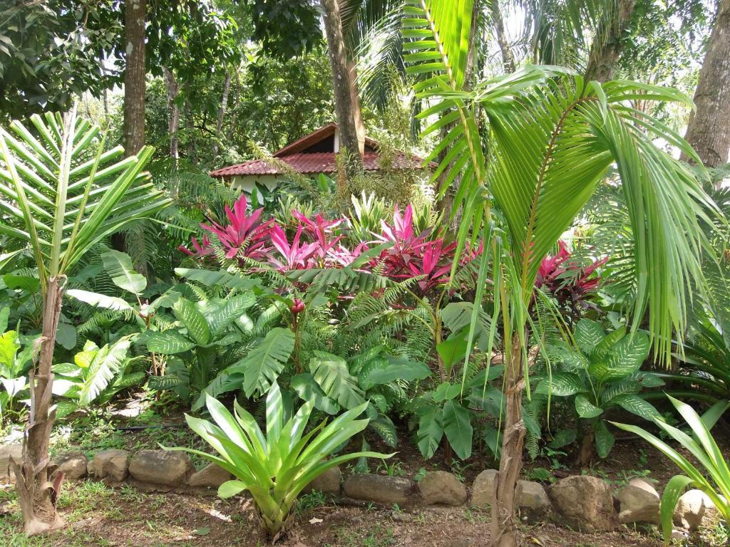 La Palapa Ecolodge Portalon Bagian luar foto