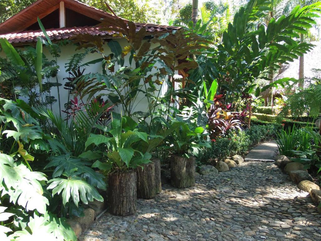 La Palapa Ecolodge Portalon Bagian luar foto